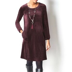 PUREJILL J. Jill Huckleberry Purple Long Sleeve Velour Dress Size S Petite